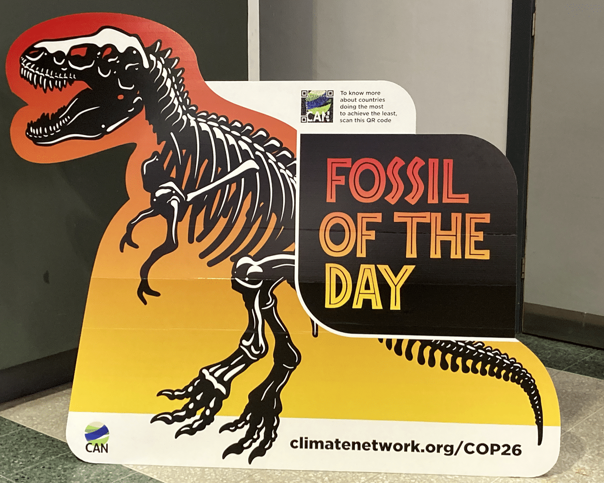 Fossil of the day