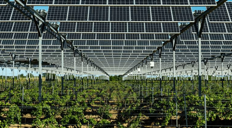 ombrière agricole