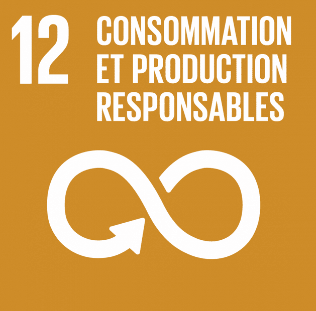 objectif de développement durable