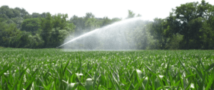 Irrigation