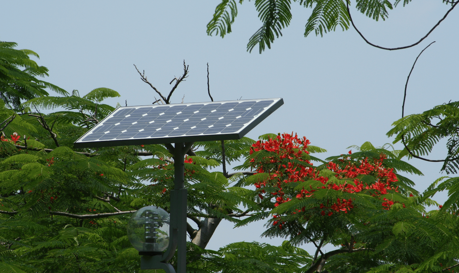 Panneaux solaires Chine
