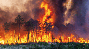 Incendies Gironde