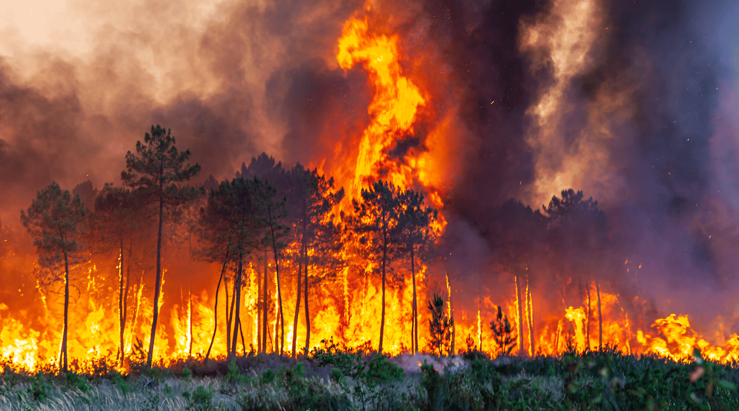 Incendies Gironde