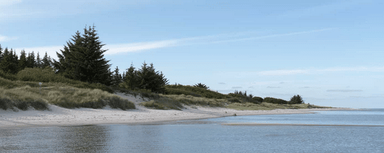 Plage d'Aalborg