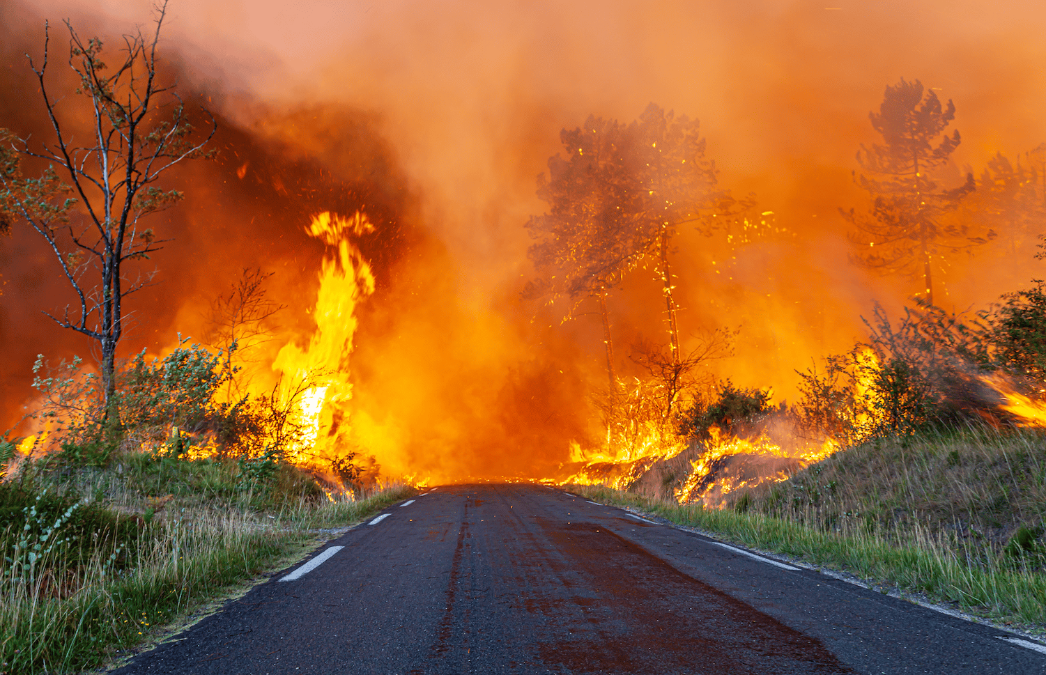 Incendies Gironde