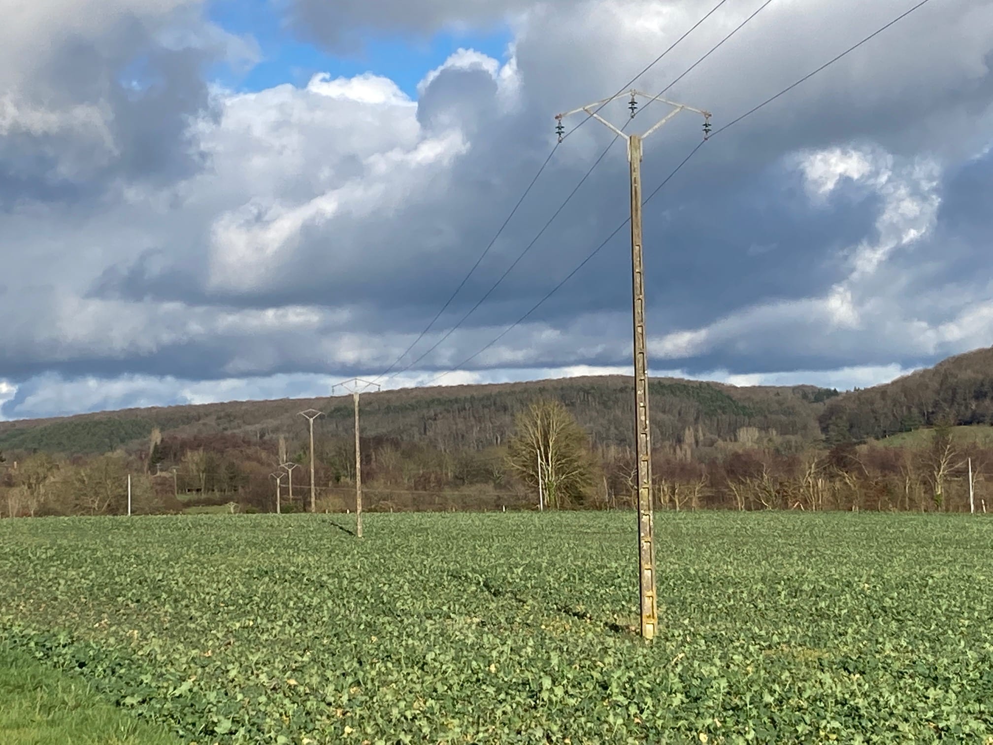 réseaux distribution d'électricité