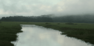 Marais