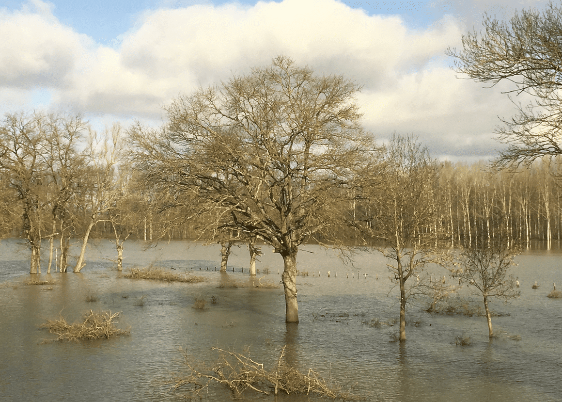 Inondations