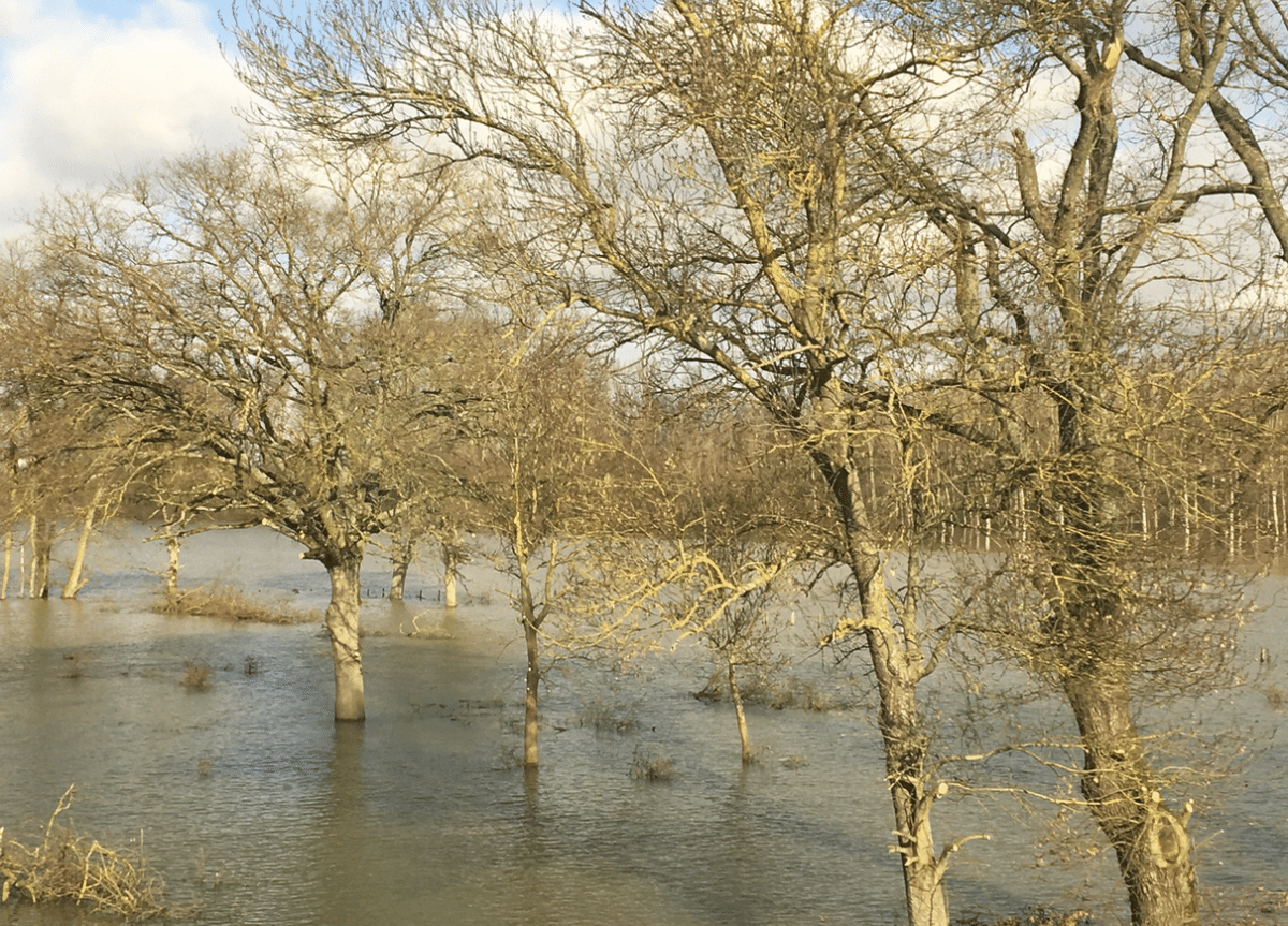Inondation