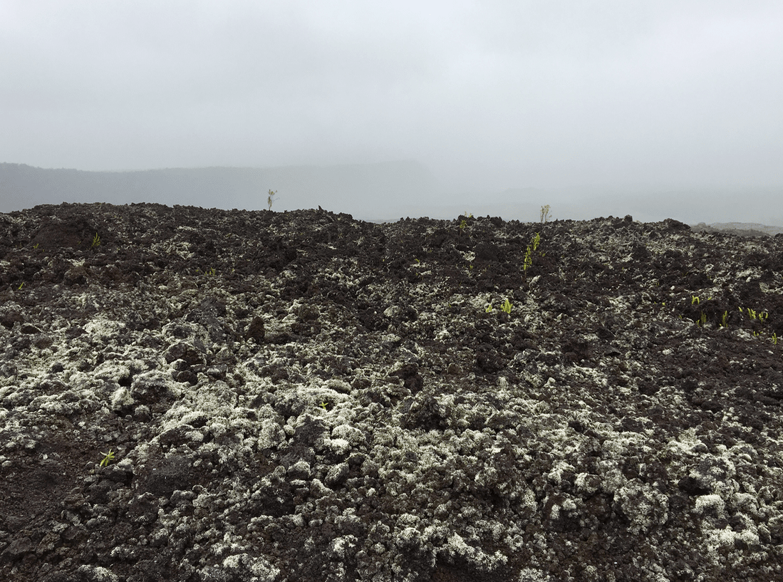 Volcan