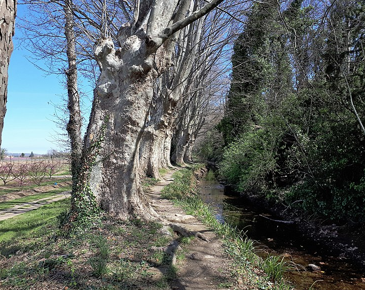 Canal de Perpignan