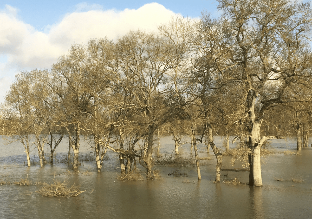 Inondation à proximité de Genève