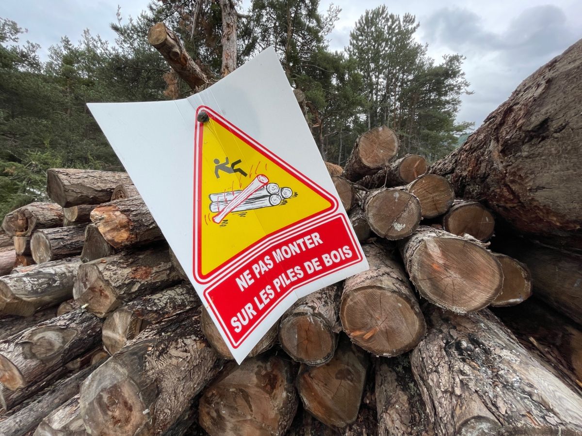 tas de bois