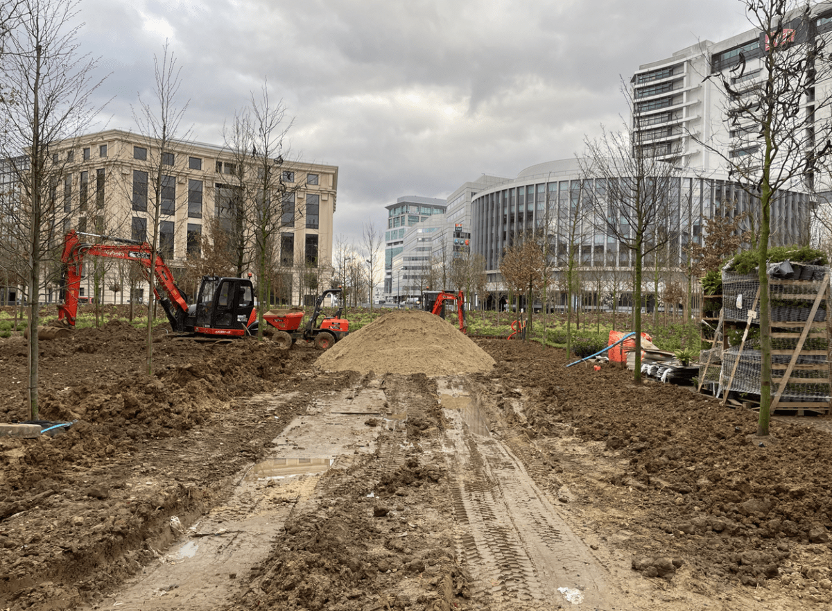 Réalisation d'une mini forêt urbaine