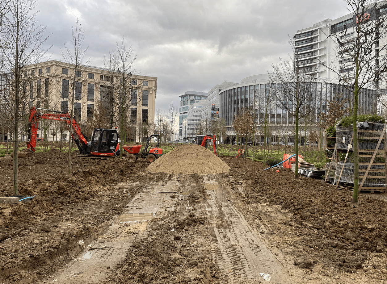Réalisation d'une mini forêt urbaine