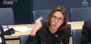 Amélie de Montchalin