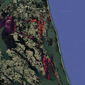 Evaluation de la mortalité des arbres des forêts atlantiques américaines