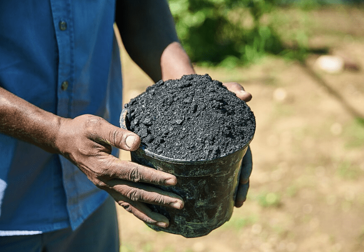 biochar