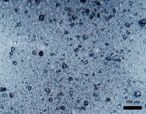 micro plastiques dans de la pâte de dentifrice