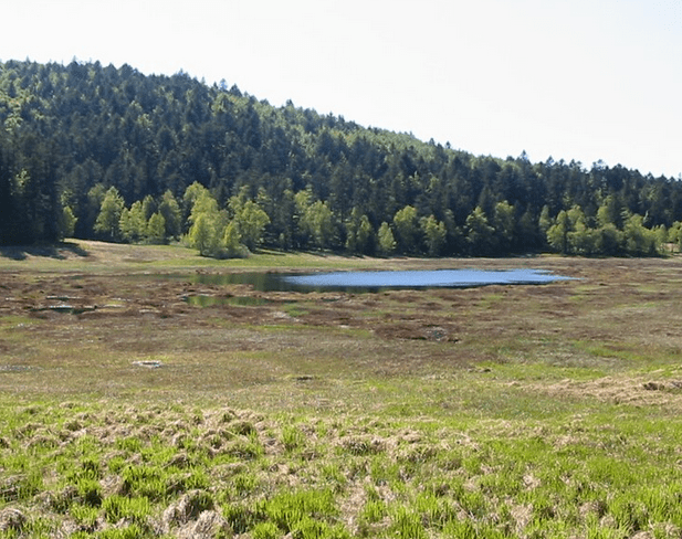 Tourbières