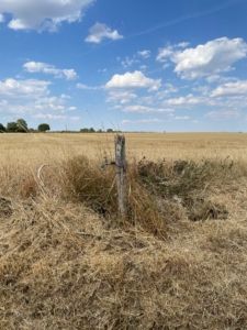 prairie asséchée et robinet