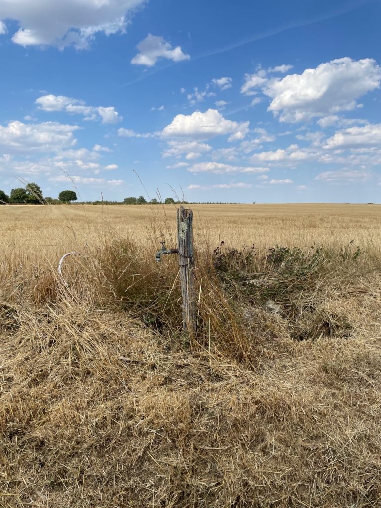 prairie asséchée et robinet