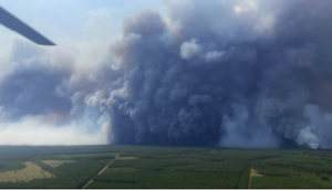 Incendie été 2026 en Gironde